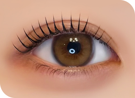 ティアフィーヌブラウン