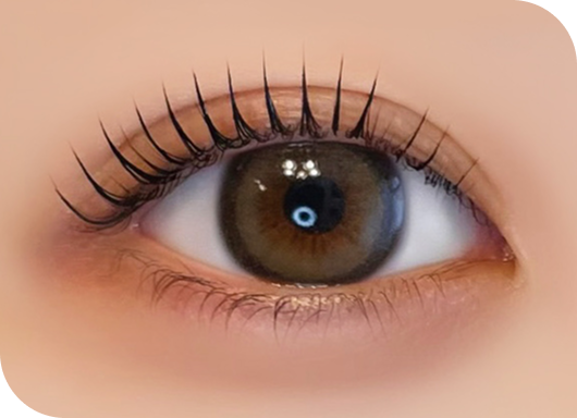 シャルムグレー